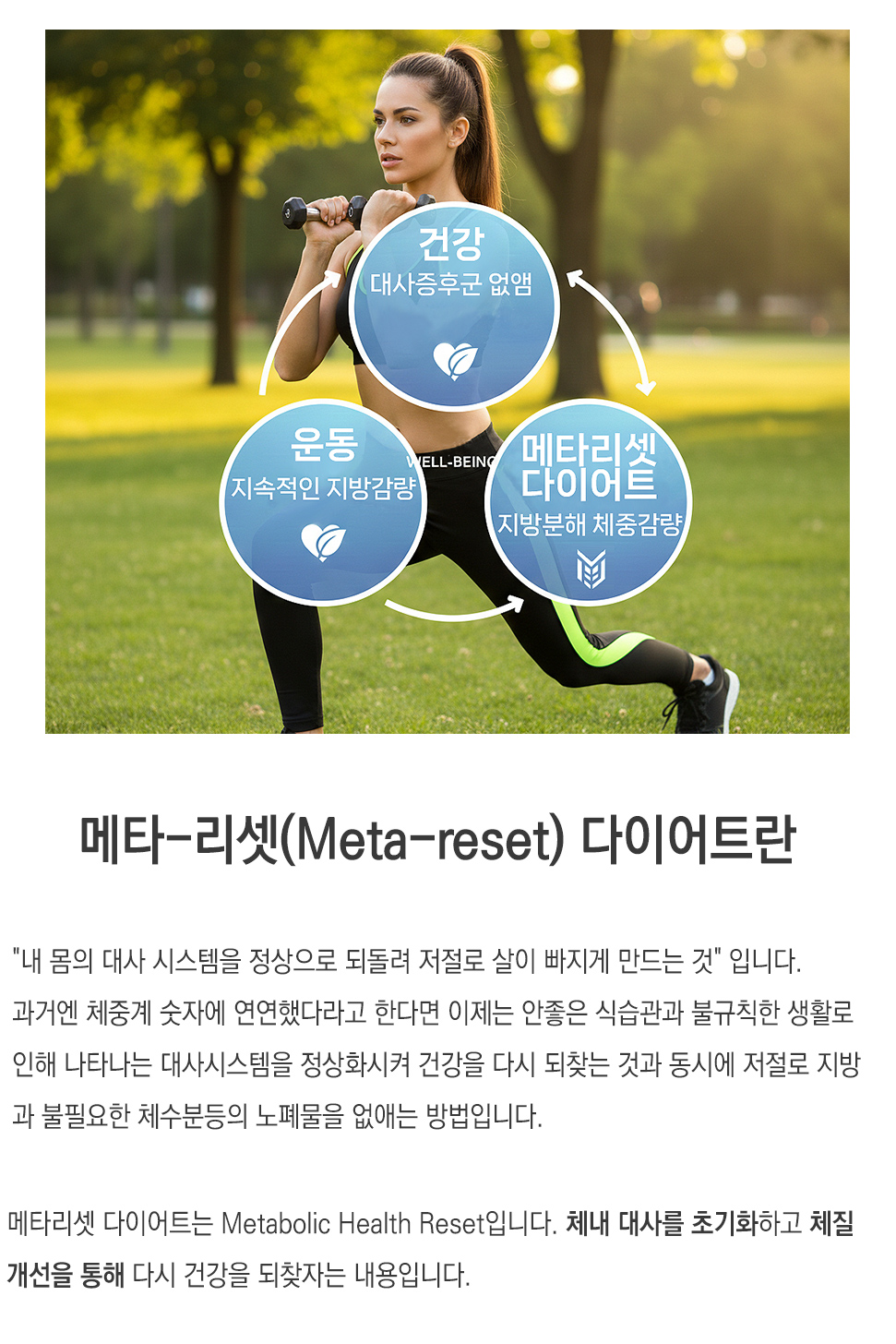 메타리셋다이어트1